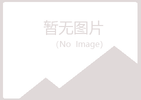 桃山区摆布会计有限公司